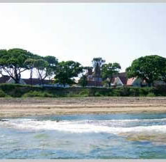 For information on Warner Just For Adults Click here