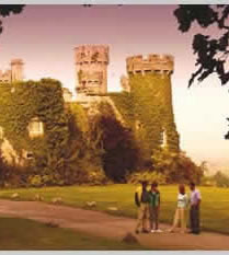 For information on Warner Just For Adults Click here