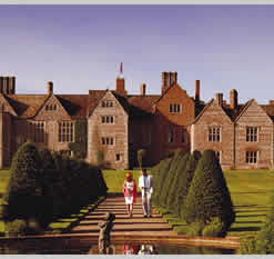 For information on Warner Just For Adults Click here