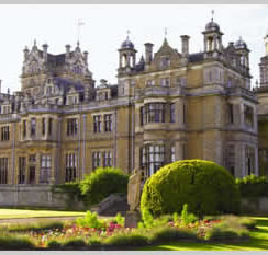 For information on Warner Just For Adults Click here